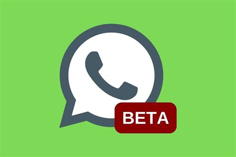 whatsapp beta 2.24.17.19